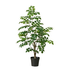 lHϗtA glR ~j|bg G}H 90cm iP216) izv302516) isj CeAO[ tFCNO[