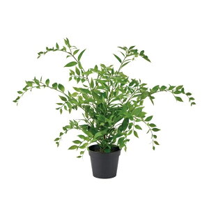 lHϗtA C^AXJX |bg G}H 45cm iP214) izv931) isj CeAO[ tFCNO[