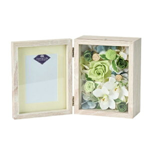 lHϗtA (߂) uU[uht[ 19cm iP261) izy3000) isj CeAO[ tFCNO[