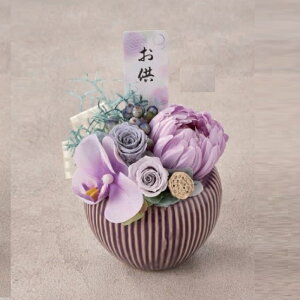 lHϗtA (䂢) p[v uU[uht[ 15.5cm iP261) izy3002-17) isj CeAO[ tFCNO[