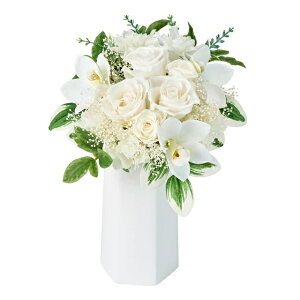 lHϗtA ^(܂) uU[uht[ 28cm iP259) izy4905) isj CeAO[ tFCNO[