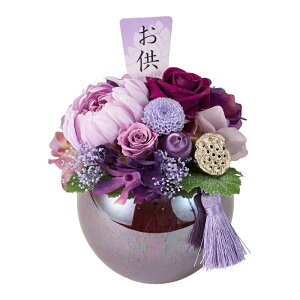 lHϗtA (ق̂) p[v uU[uht[ 19cm iP260) izy5008-17) isj CeAO[ tFCNO[