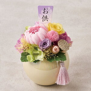 lHϗtA (ق̂) sN uU[uht[ 19cm iP260) izy5008-2) isj CeAO[ tFCNO[