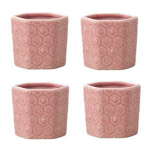 ԕr t[x[X Gift KOMON R usumomo i4j [155-023-517] [p110] Xg[EFA isj CeA fBXvC