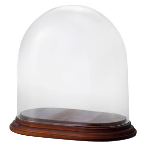 ԕr t[x[X Glass Gift Oval Glass Dome with Wood I[pKXh[ECYEbh brown KXh[t i1j [777-173-202] [p133] KX isj CeA fBXvC