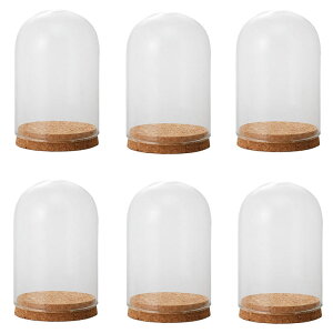 �K���X�x�[�X Glass Gift Glass Dome with Cork �K���X�h�[�� �E�B�Y �R���N natural �i6����j [777-431-000] [p138] �K���X �i������s�j �L�b�`�� �C���e���A �f�B�X�v���C