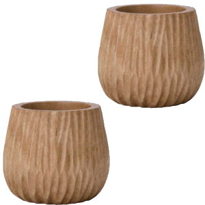 ԁEϗtAp|bg }S[|bg C Wood POT i2j 16006 ꌊȂ hCi[t isj ^|bg FARM (p139)