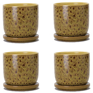 ԁEϗtAp|bg NF^ 11 Y Ceramic POT i4j 40198 ꌊ Mt isj ^|bg FARM (p62)