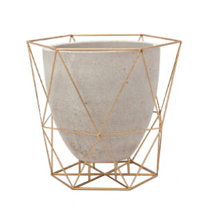 �ԁE�ϗt�A���p�|�b�g ���C���[�t���[�g�|�b�g 40�S�[���h Ceramic POT �i1����j 43019 �ꌊ����Z�����g�|�b�g�t �h���C���i�[�t�� �i������s�j ��^�|�b�g FARM (p111)