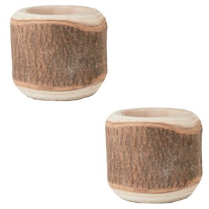 ԁEϗtAp|bg NX 16 Wood POT i2j 50004 ꌊȂ hCi[t isj ^|bg FARM (p144)