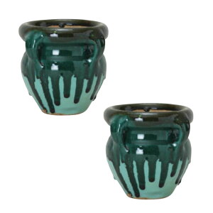 ԁEϗtAp|bg `jWA ~jOCY ST G Teracotta POT i2j 15006 ꌊ MȂ isj ^|bg FARM (p125)