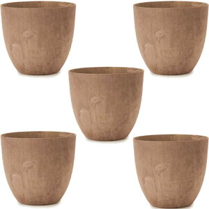 ԁEϗtAp|bg A[gXg[ Eh S 28 uEi5jar-002c28e [KTp261] ^|bg isjzeEItBXrEX GNXeA CeA