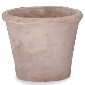 ԁEϗtAp|bg eAXg A_[ XS 8/Ai1jas-r29x08e [KTp279] ^|bg |bgtB[gt isjzeEItBXrEX GNXeA CeA