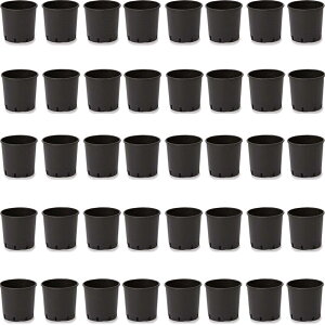 ԁEϗtAp|bg i[Z[|bg nhȂ 24 ubNi40jbn-bb2k024 [KTp265] |pi isjzeEItBXrEX K[fjO