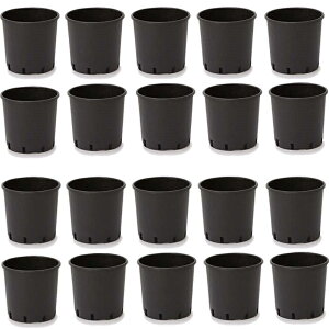 ԁEϗtAp|bg i[Z[|bg nhȂ 30 ubNi20jbn-bb2k030 [KTp265] |pi isjzeEItBXrEX K[fjO