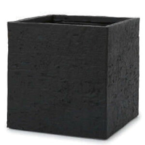 ԁEϗtAp|bg t@Co[NC x[^ L[uv^[ xAbN L 55/D ubNi1jfm-002b55g [KTp195] v^[ isjzeEItBXrEX C