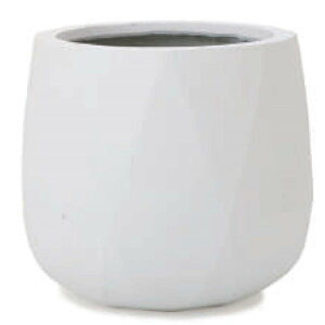 ԁEϗtAp|bg t@Co[Xg[ |Si [|bg L 55/C }bgi1jfs-p02w55e [KTp115] 唫Jo[ isjzeEItBXrEX CeA GNXe