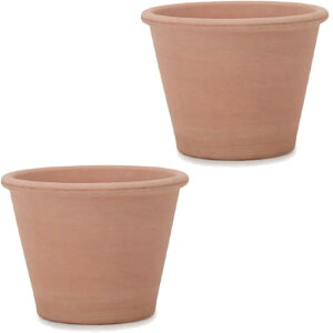 ԁEϗtAp|bg C^AeRb^ @\ A[i XL 10i2jit-ww15312 [KTp309] ^|bg isjzeEItBXrEX GNXeA CeA