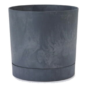 ԁEϗtAp|bg vXp[ gD[{ B L 35/A }Si1jpp-tu1h35e [KTp251] ^|bg Mt isjzeEItBXrEX GNXeA CeA