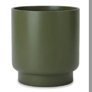 ԁEϗtAp|bg XyNg Eh M 33/A AeB[NO[i1jsp-r01g33e [KTp65] ^Jo[ isjzeEItBXrEX CeA fBXvC