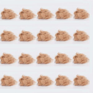 �ԁE�ϗt�A���p�|�b�g�p�A�N�Z�T���[ �R�R�t�@�C�o�[ �x�[�W�� 100g�i20����jac-cf2w01g [KTp450] ���|�p�i �i������s�j�z�e���E�I�t�B�X�r���E�X�� �K�[�f�j���O