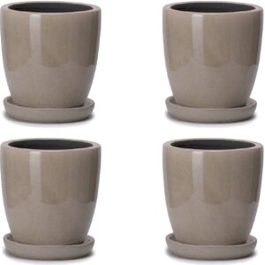 ԁEϗtAp|bg AXeA g[ M 4 x[Wi4jat-002b04p [KTp429] ~j|bg Mt isjzeEItBXrEX CeA fBXvC