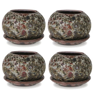 ԁEϗtAp|bg n[ {E M 6 uEi4jhl-002n14p [KTp433] ~j|bg Mt isjzeEItBXrEX CeA GNXeA