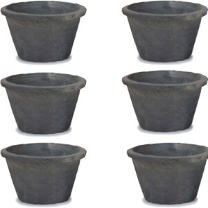 ԁEϗtAp|bg X|bg X^_[h O[ M 6 Di6jms-100b06e [OLp327] ^|bg isjzeEItBXrEX GNXeA K[f