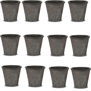 ԁEϗtAp|bg X|bg AUA O[ S 5 Di12jms-400b05e [OLp327] ^|bg isjzeEItBXrEX GNXeA K[f