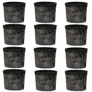 ԁEϗtAp|bg X|bg V_[ O[ S 4 Di12jms-700b04e [KTp329] ~j|bg isjzeEItBXrEX GNXeA K[f