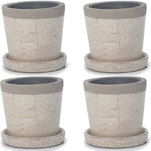 ԁEϗtAp|bg N[p 4 S i4jsh-002w04p [KTp435] ~j|bg Mt isjzeEItBXrEX CeA fBXvC