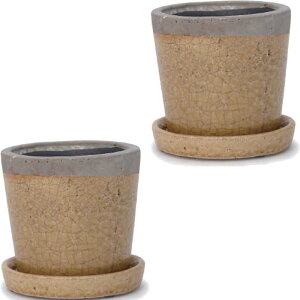 ԁEϗtAp|bg N[p 6 M i2jsh-002y06p [KTp435] ~j|bg Mt isjzeEItBXrEX CeA fBXvC