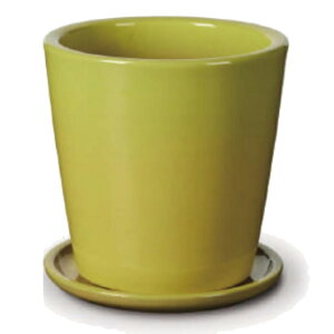 ԁEϗtAp|bg rg h[Z S 8/A CG[ցi1jvt-r10y08p [KTp361] ^|bg Mt isjzeEItBXrEX GNXeA CeA