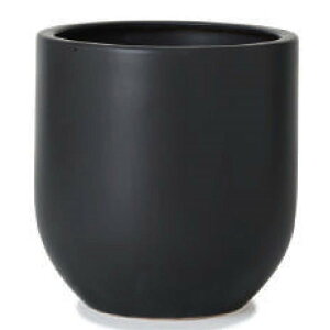 ԁEϗtAp|bg WY_ _ WY16 }bg Jo[ 8p/A ȈՔ i1jwy-016k10v [KTp375] ^Jo[ isjzeEItBXrEX CeA fBXv