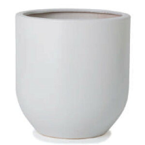 ԁEϗtAp|bg WY_ _ WY16 }bg Jo[ 10p/A ȈՔ i1jwy-016w13v [KTp375] ^Jo[ isjzeEItBXrEX CeA fBXv