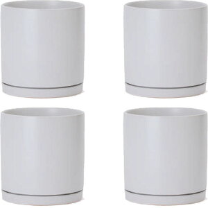 ԁEϗtAp|bg WY_ _ CR1 }bg MtZbg XS 5/A i4jwy-cr1w05p [KTp379] ^|bg isjzeEItBXrEX CeA fBXvC