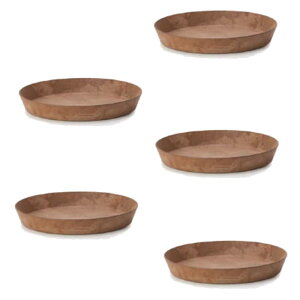 ԁEϗtAp|bg A[gXg[ Eh\[T[ 26 uEi5jar-u2rc26e [KTp261] \[T[ isjzeEItBXrEX GNXeA K[f