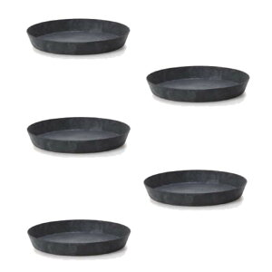 ԁEϗtAp|bg A[gXg[ Eh\[T[ 26 ubNi5jar-u2rk26e [KTp261] \[T[ isjzeEItBXrEX GNXeA K[f