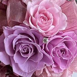 vU[uht[ Presarved Arrangmentin10-1320jSTCY 7F1FI NAJbv^i4pj 1 11cm NAP[X KN uUAW Mtg CeA