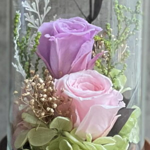 vU[uht[ Funeral Preserved Arrangmentin10-1323j3F1FI h[^i15pj 1 7cm  KN Mtg ݉  