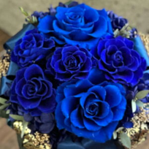 vU[uht[ retro modernin10-1330jLTCY 2F1FI |bg^i12pj 1 17cm NAP[X KN uUAW Mtg CeA