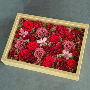 vU[uht[ Frame Arrangmentin10-1335j39TCY bh t[^i13pj 1 39cm KN uUAW Mtg CeA