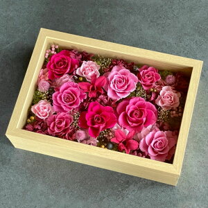 vU[uht[ Frame Arrangmentin10-1335j27TCY sN t[^i13pj 1 27cm KN uUAW Mtg CeA