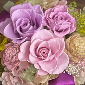 vU[uht[ Presarved Arrangmentin10-1337jMTCY 7F1FI |bg^i3pj 1 14cm NAP[X KN uUAW Mtg CeA