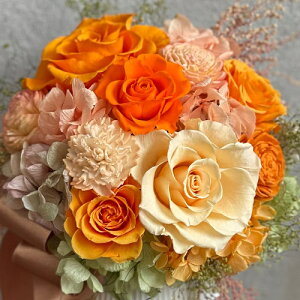 vU[uht[ Presarved Arrangmentin10-1340jLLTCY 4F1FI |bg^i9pj 1 17cm NAP[X KN uUAW Mtg CeA