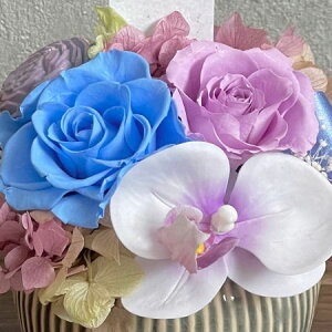 vU[uht[ Funeral Preserved Arrangmentin10-1342jMTCY 3F1FI ی^i16pj 1 12.5cm NAP[X ӒKN Mtg ݉  