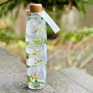 ハーバリウム Herbarium 植物標本(rf-005) ホワイト 円柱型瓶入り(18p) 1個入り 高さ6.8cm 箱入り 胡蝶蘭 アーティフィシャルフラワー ギフト インテリア