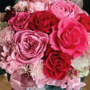 �v���U�[�u�h�t�����[ Presarved Arrangment�in10-1306�jLL�T�C�Y 3�F����1�F��I�� �|�b�g�^ 1���� ����28cm �N���A�P�[�X���� �K�N �u���U�A�����W �M�t�g �C���e���A