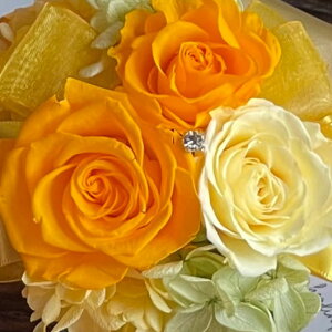 �v���U�[�u�h�t�����[ Presarved Arrangment�in10-1320�jS�T�C�Y 9�F����1�F��I�� �N���A�J�b�v�^ 1���� ����14cm �N���A�P�[�X���� �K�N �u���U�A�����W �M�t�g �C���e���A