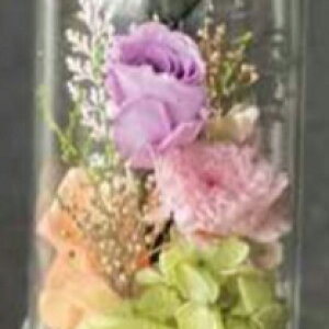 �v���U�[�u�h�t�����[ Funeral Preserved Arrangment�in10-1323�j3�F����1�F��I�� �h�[���^ 1���� ����18cm ������ �K�N �M�t�g �����݉� �������� ����
